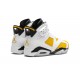 Air Jordan 6 Mens Yellow Ochre CT8529-170 Reps Shoes