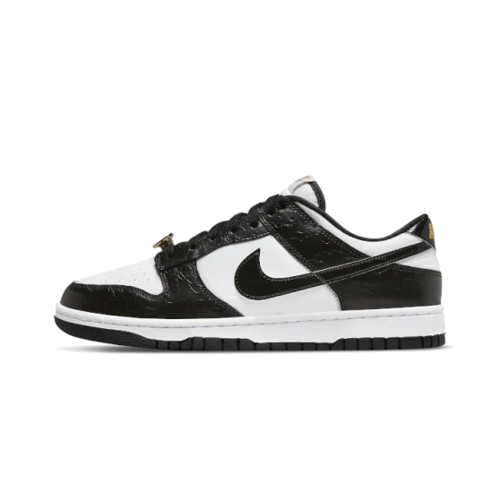 Nike Dunk Low World Champ DR9511-100 White/Black